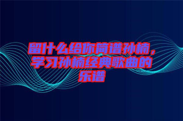 留什么給你簡譜孫楠，學(xué)習(xí)孫楠經(jīng)典歌曲的樂譜