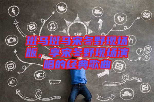 斑馬斑馬宋冬野現(xiàn)場版，享宋冬野現(xiàn)場演唱的經典歌曲