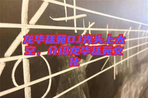 龍華廷苑DJ光頭上太空，介紹龍華廷苑文化