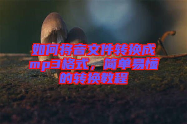 如何將音文件轉換成mp3格式，簡單易懂的轉換教程