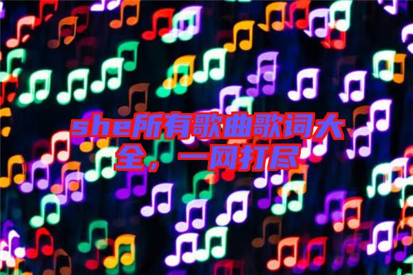 she所有歌曲歌詞大全，一網打盡