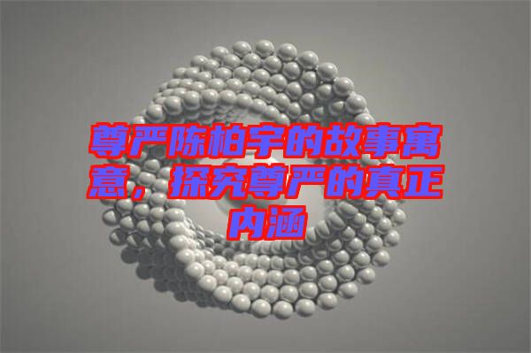 尊嚴陳柏宇的故事寓意，探究尊嚴的真正內涵