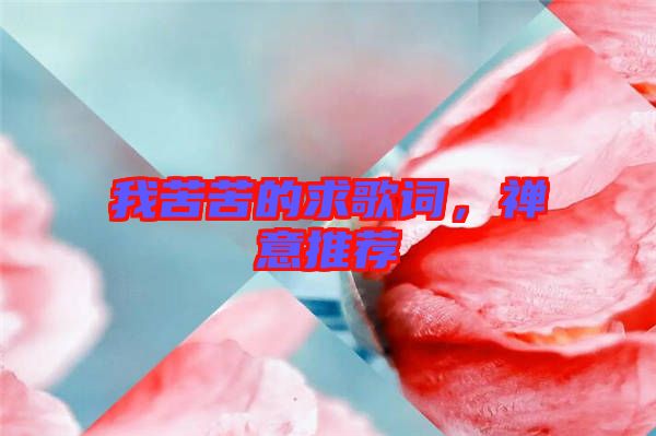 我苦苦的求歌詞，禪意推薦