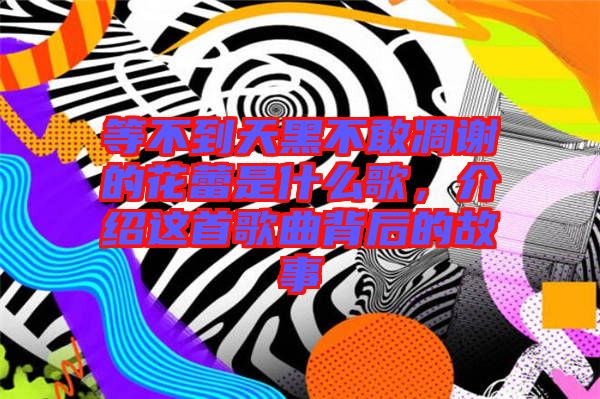 等不到天黑不敢凋謝的花蕾是什么歌，介紹這首歌曲背后的故事