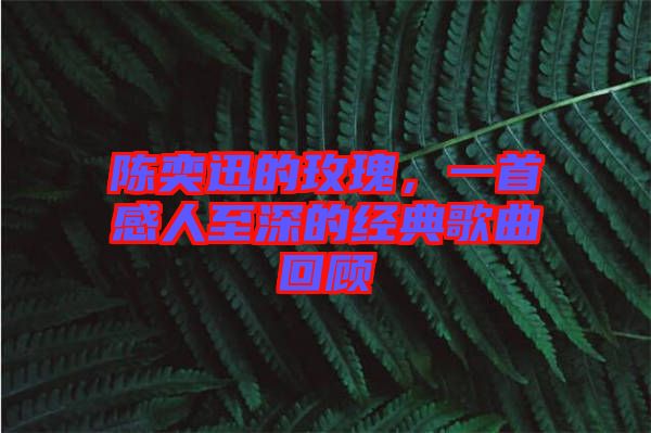 陳奕迅的玫瑰，一首感人至深的經(jīng)典歌曲回顧