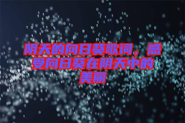 陰天的向日葵歌詞，感受向日葵在陰天中的美麗