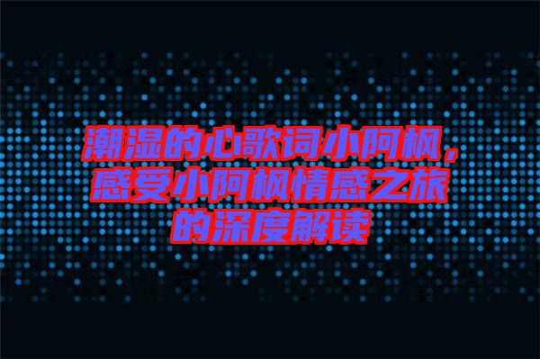 潮濕的心歌詞小阿楓，感受小阿楓情感之旅的深度解讀