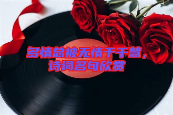 多情總被無情于千慧，詩詞名句欣賞