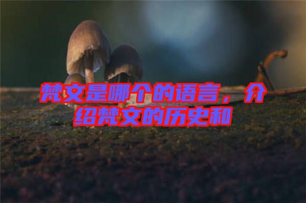 梵文是哪個的語言，介紹梵文的歷史和