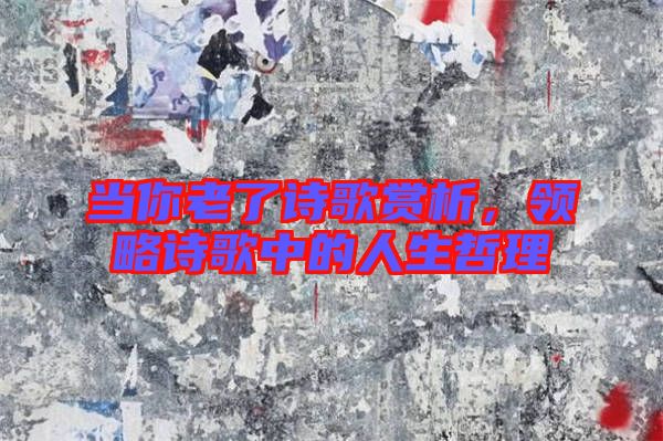 當你老了詩歌賞析，領略詩歌中的人生哲理