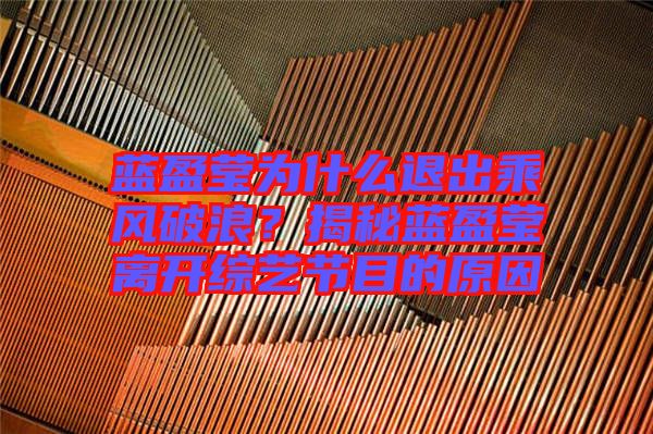 藍(lán)盈瑩為什么退出乘風(fēng)破浪？揭秘藍(lán)盈瑩離開綜藝節(jié)目的原因