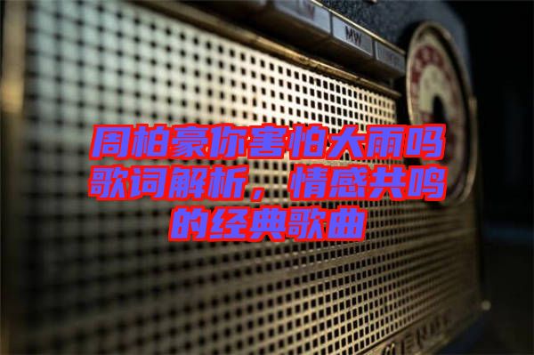 周柏豪你害怕大雨嗎歌詞解析，情感共鳴的經(jīng)典歌曲