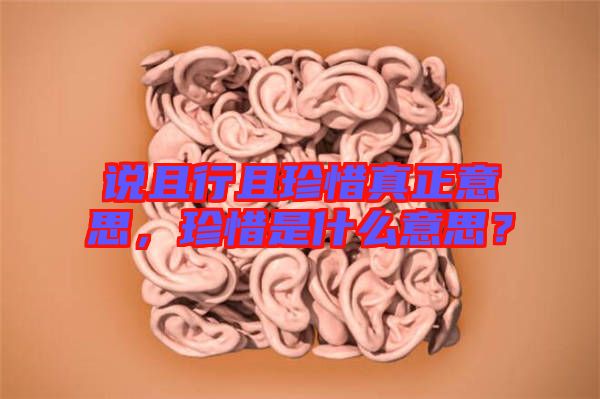 說且行且珍惜真正意思，珍惜是什么意思？