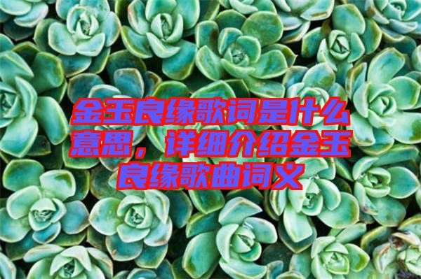 金玉良緣歌詞是什么意思，詳細介紹金玉良緣歌曲詞義