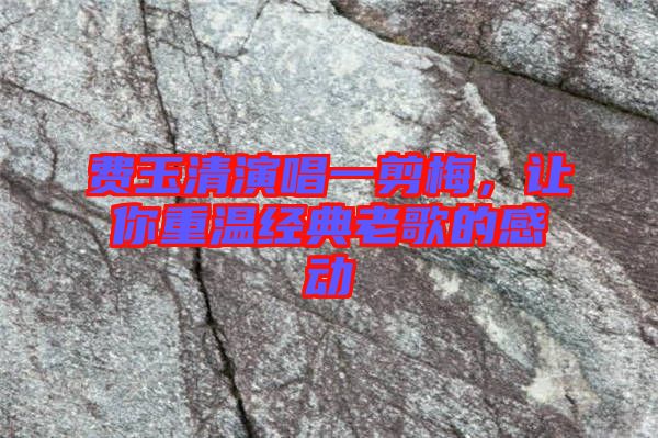費玉清演唱一剪梅，讓你重溫經(jīng)典老歌的感動