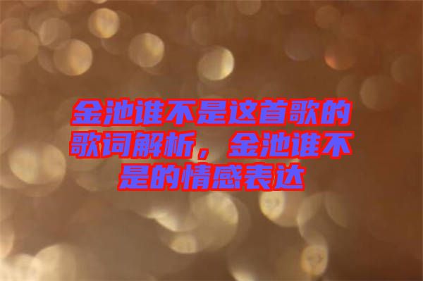金池誰不是這首歌的歌詞解析，金池誰不是的情感表達(dá)
