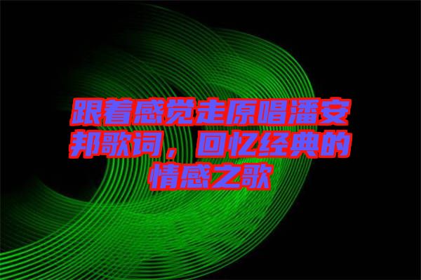 跟著感覺走原唱潘安邦歌詞，回憶經典的情感之歌