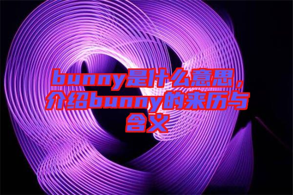 bunny是什么意思，介紹bunny的來歷與含義
