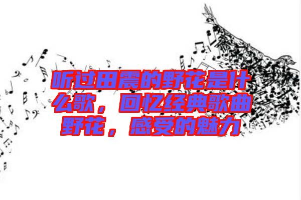 聽過田震的野花是什么歌，回憶經典歌曲野花，感受的魅力
