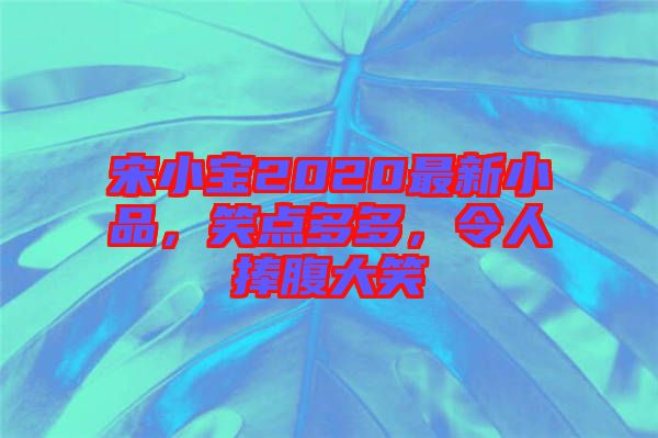 宋小寶2020最新小品，笑點多多，令人捧腹大笑