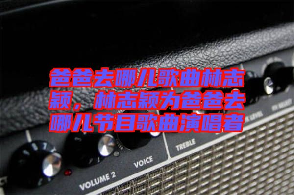 爸爸去哪兒歌曲林志穎，林志穎為爸爸去哪兒節目歌曲演唱者