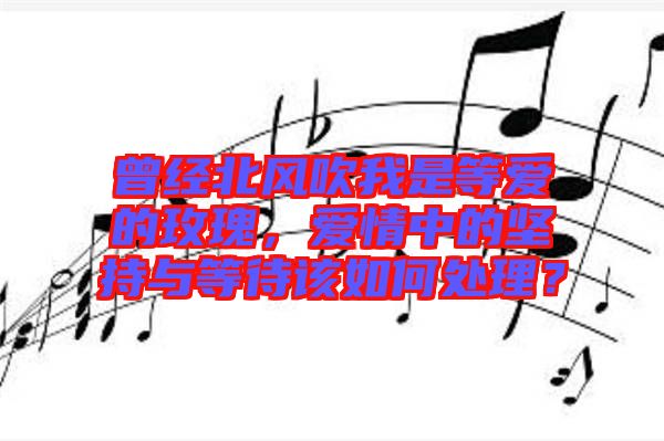 曾經(jīng)北風(fēng)吹我是等愛(ài)的玫瑰，愛(ài)情中的堅(jiān)持與等待該如何處理？