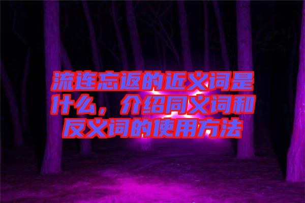 流連忘返的近義詞是什么，介紹同義詞和反義詞的使用方法