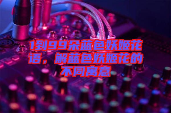 1到99朵藍色妖姬花語，解藍色妖姬花的不同寓意