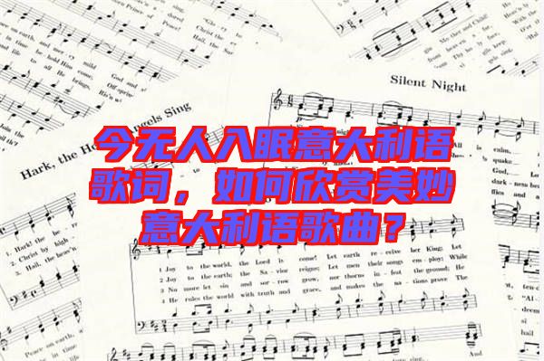 今無人入眠意大利語歌詞，如何欣賞美妙意大利語歌曲？