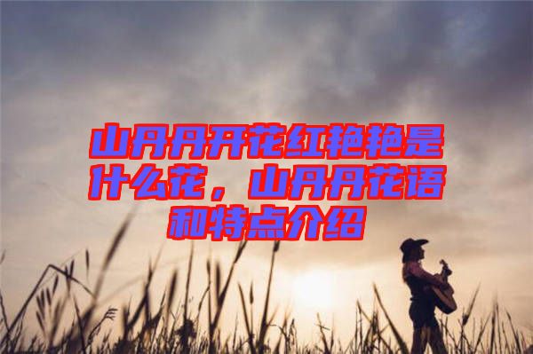 山丹丹開花紅艷艷是什么花，山丹丹花語和特點介紹