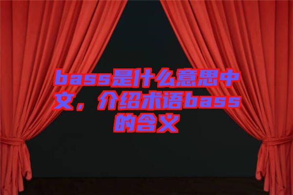 bass是什么意思中文，介紹術語bass的含義