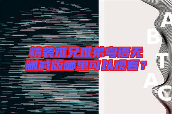 精裝難兄難弟粵語無刪減版哪里可以觀看？