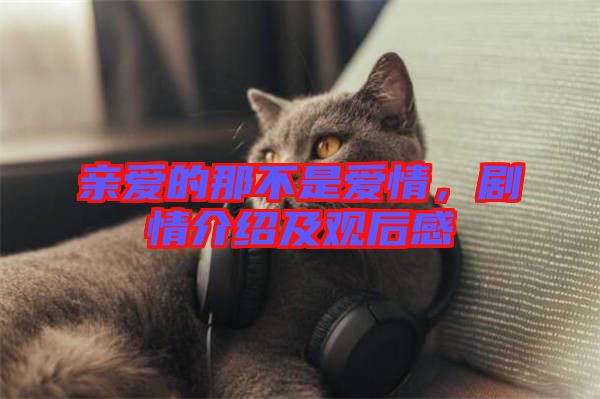 親愛的那不是愛情，劇情介紹及觀后感
