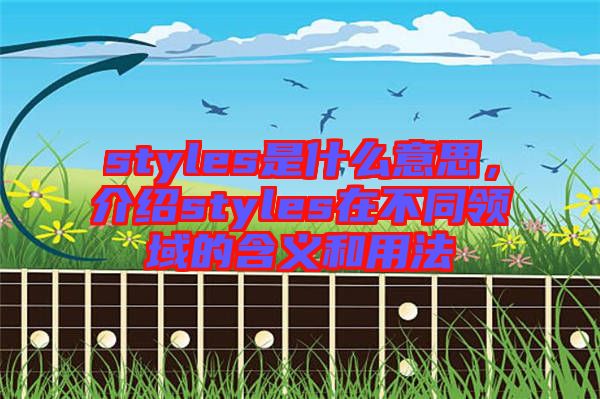styles是什么意思，介紹styles在不同領域的含義和用法