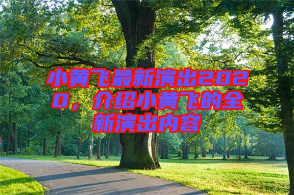 小黃飛最新演出2020，介紹小黃飛的全新演出內容