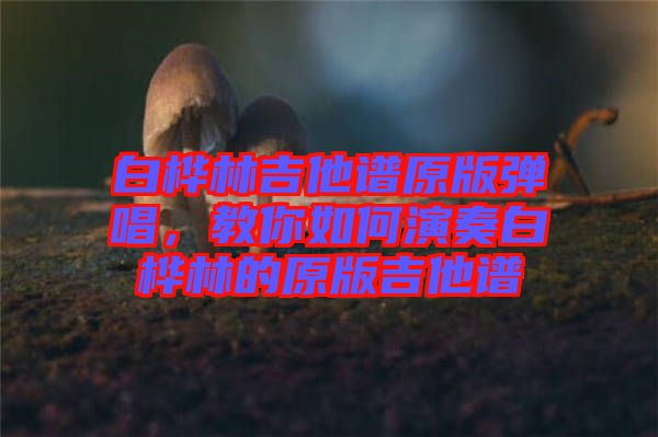 白樺林吉他譜原版彈唱，教你如何演奏白樺林的原版吉他譜