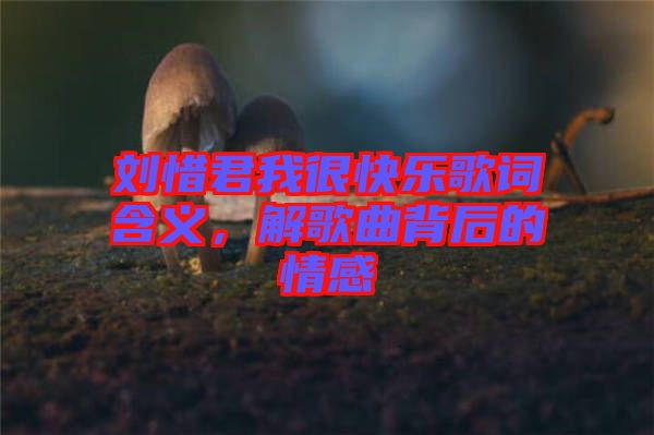 劉惜君我很快樂歌詞含義，解歌曲背后的情感