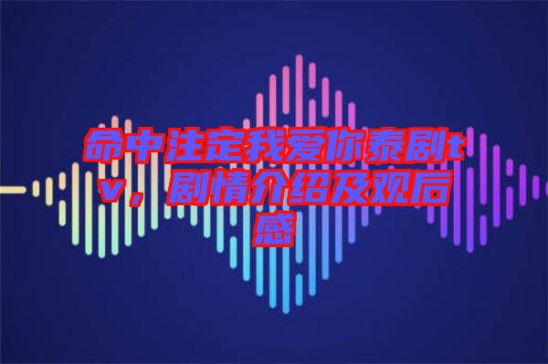 命中注定我愛你泰劇tv，劇情介紹及觀后感