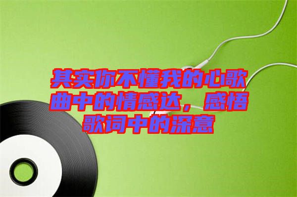 其實你不懂我的心歌曲中的情感達，感悟歌詞中的深意