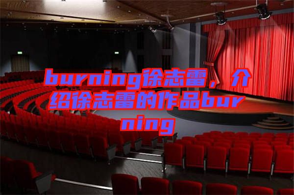 burning徐志雷，介紹徐志雷的作品burning