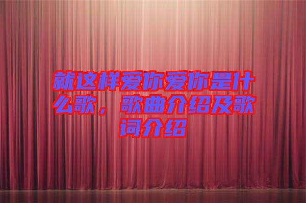 就這樣愛(ài)你愛(ài)你是什么歌，歌曲介紹及歌詞介紹