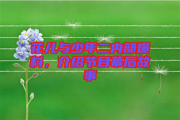花兒與少年二內部爆料，介紹節目幕后故事