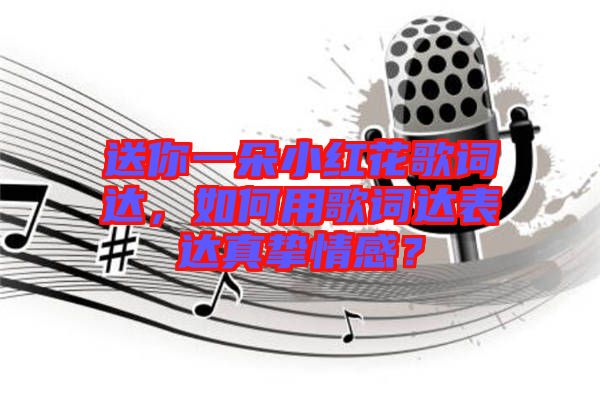 送你一朵小紅花歌詞達，如何用歌詞達表達真摯情感？