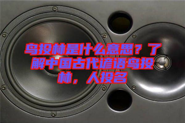 鳥投林是什么意思？了解中國古代諺語鳥投林，人投名