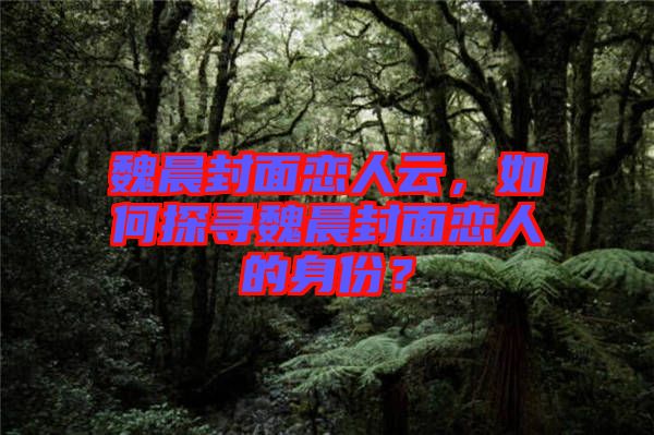 魏晨封面戀人云，如何探尋魏晨封面戀人的身份？