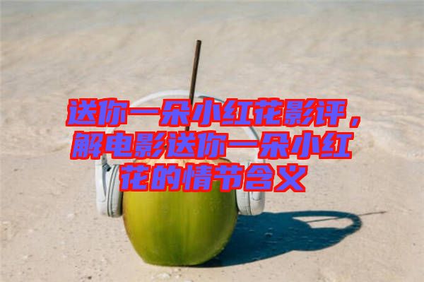 送你一朵小紅花影評，解電影送你一朵小紅花的情節含義