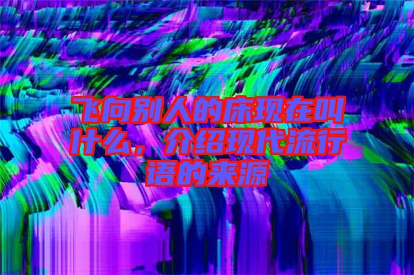 飛向別人的床現在叫什么，介紹現代流行語的來源