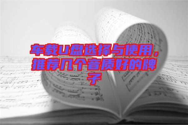 車載U盤選擇與使用，推薦幾個音質好的牌子