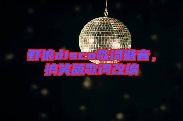 野狼disco歌詞諧音，搞笑版歌詞改編